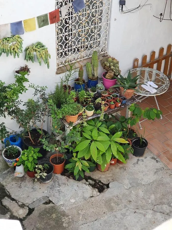 Casa Vera Vejer de la Frontera 0*,